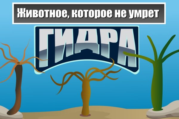 Значок кракена маркетплейса