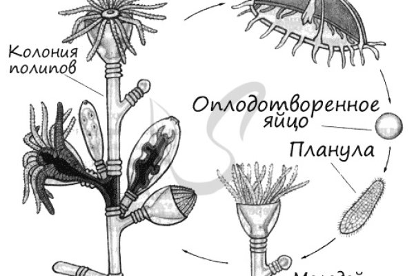 Кракен площадка что это