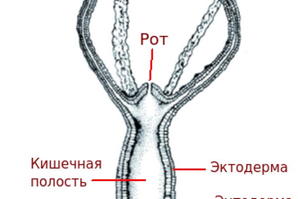 Сайты для даркнета