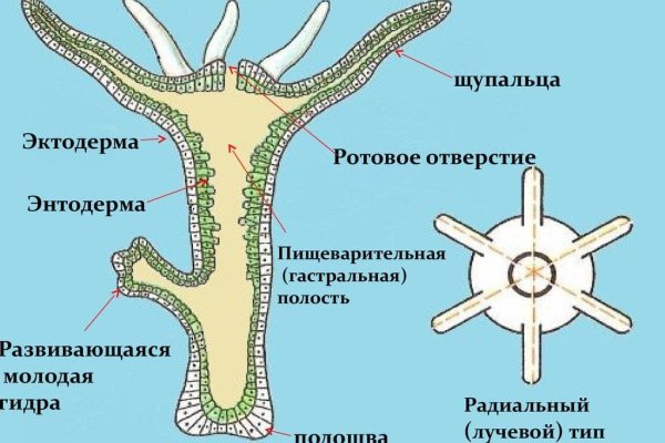 Аналог гидры