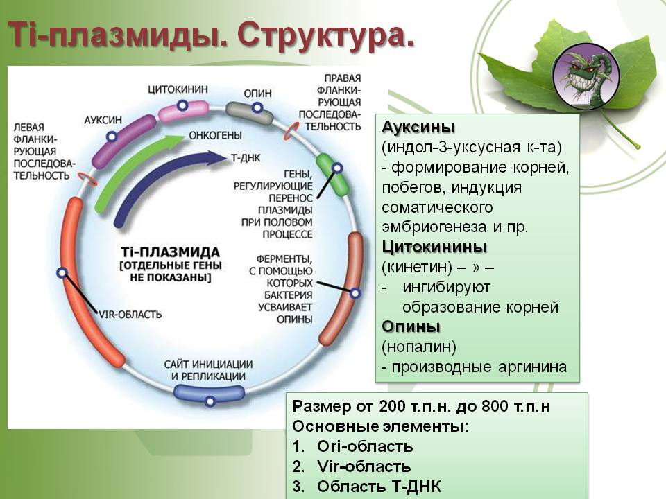 Kraken официальная ссылка tor