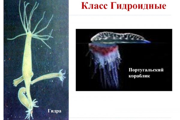 Кракен даркнет скачать