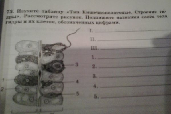 Кракен сайт даркнет зеркало