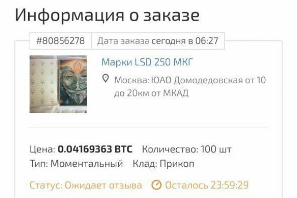 Kraken рабочий