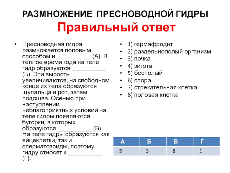 Onion сайт кракен